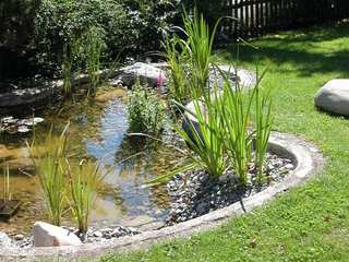 Nierenförmiger Gartenteich | Lobsiger Gartenbau AG