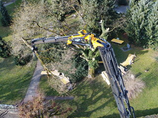 Lastwagenkran mit Greifer bei der Fällung eines grossen Baumes  | Lobsiger Gartenbau AG